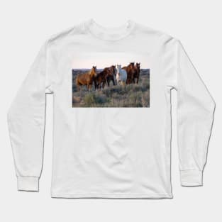 Herd of Wild Mustangs Long Sleeve T-Shirt